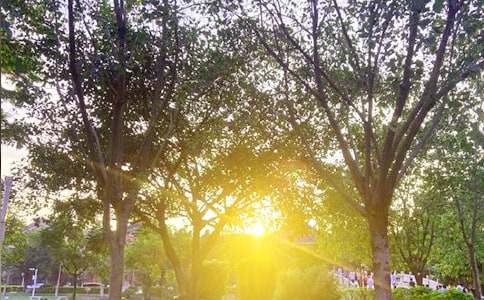 �����簲ף���ͨ��40�䣩