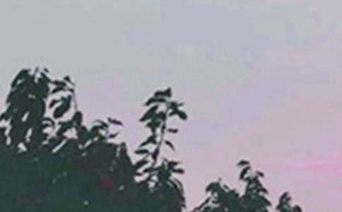 2022年简洁的温馨的早安问候语语录集锦31条