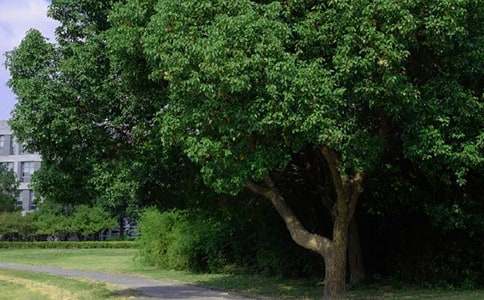 ף��������簲�ʺ���43��