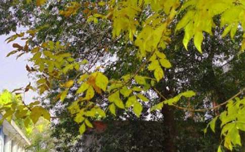 关于温馨早安感言大全130句