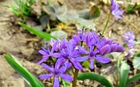 ��������ÿ��һ���簲�ʺ���20��