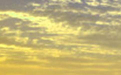 �����š�2026�궯�˵��簲�ʺ�����¼�󼯺�63��