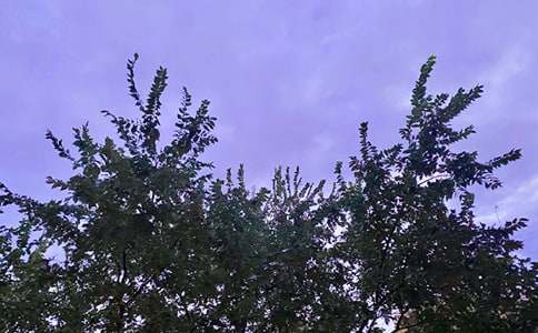 �����ʺϸ����ѵ��簲΢���ʺ���34��