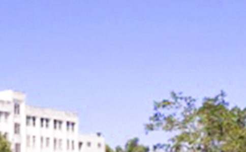 2025�곣�������簲�ʺ���󼯺�62��