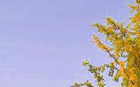 2025��򵥵��������簲�ʺ�����43��