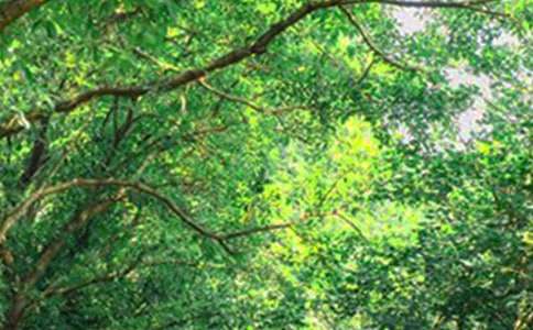 早安QQ问候语19条