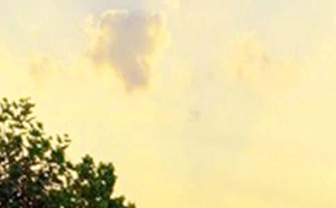 2022年通用每日一句早安问候语语录锦集59句