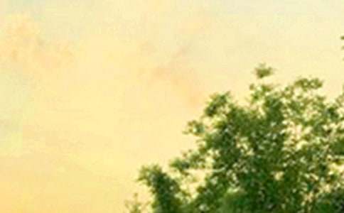 【必备】唯美的早安问候语短信汇总59句