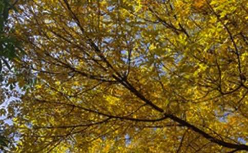 【实用】2024年温暖的早安问候语短信46条