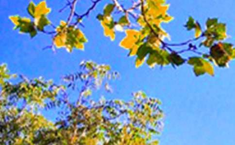 �й��������簲�ʺ�����¼����63��