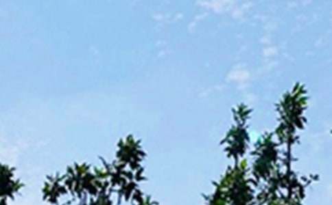 常用励志早安感言大全(精选175句)