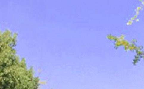 通用美好的早安问候语语录38句