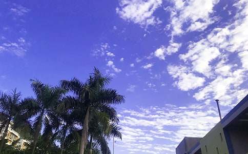 ��̵�Ψ�����簲�ʺ�����Ž���41��