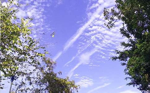 �����š����õ��簲ף�������53��