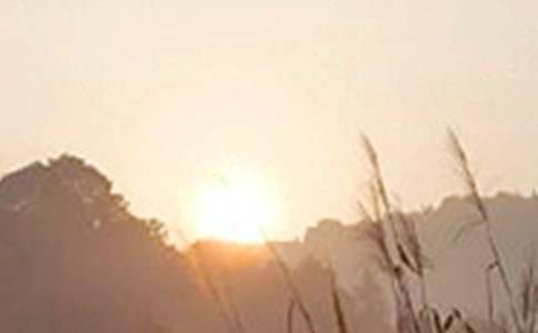 ʵ�õĶ��˵��簲QQ�ʺ������38��