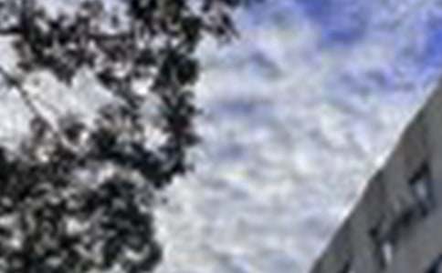 有关每日一签早安问候语语录47条