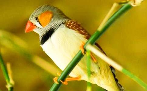 �������ѧ��˼����15ƪ