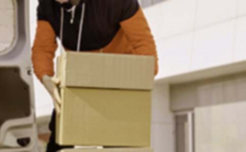 ��ľ����ְҵ�滮