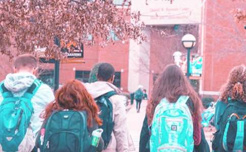 ��ѧ���������ʵ������12ƪ