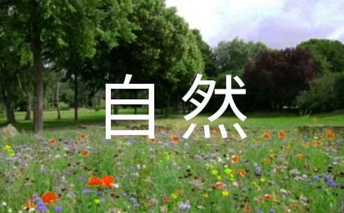 ����Ȼ������ѧ��˼