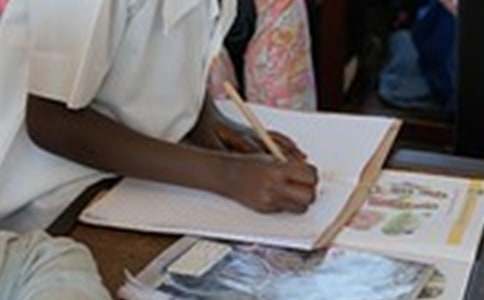 ��ѡСѧд�������Ļ����ƪ