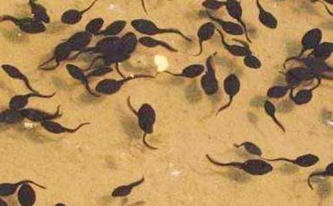 С�ࡶС��������衷��ѧ��˼