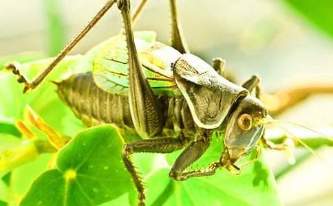 ���סլ��ѧ��˼