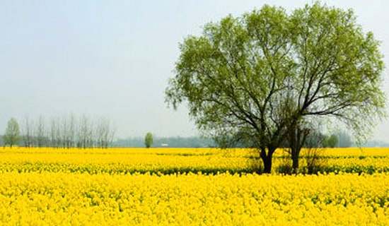 ���λ�߻���