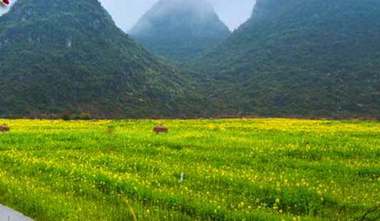 小学生春游策划书(集锦6篇)